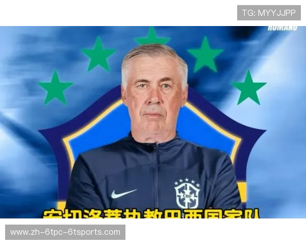 意甲球队老板：意甲俱乐部老板的角色与球队发展