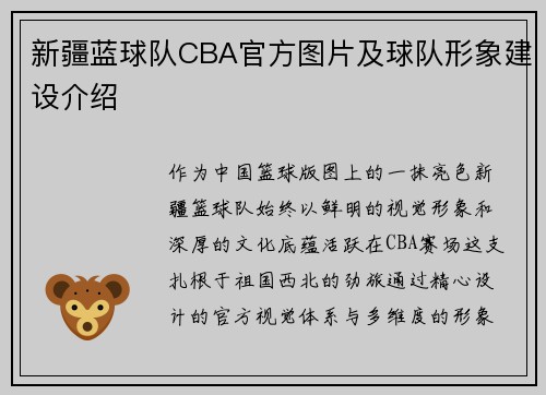 新疆蓝球队CBA官方图片及球队形象建设介绍